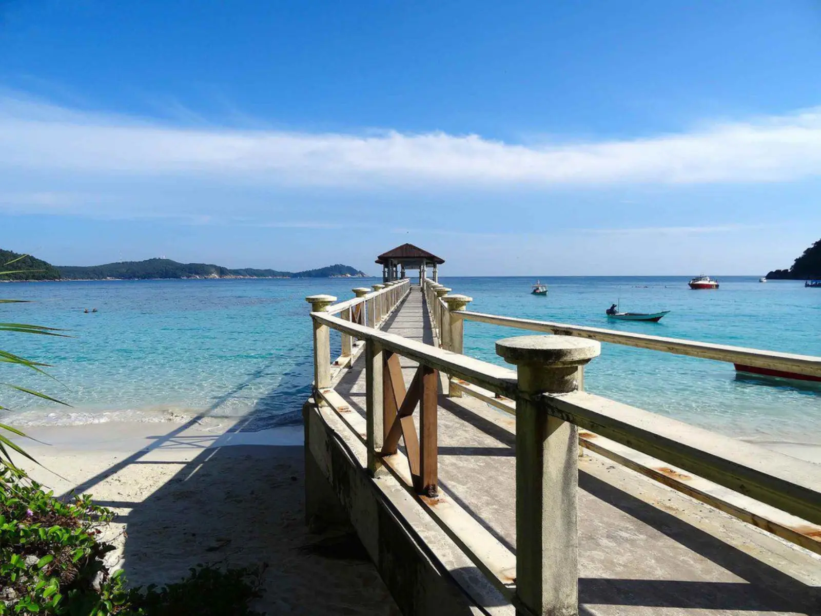 2019 internships for conservation in Malaysia